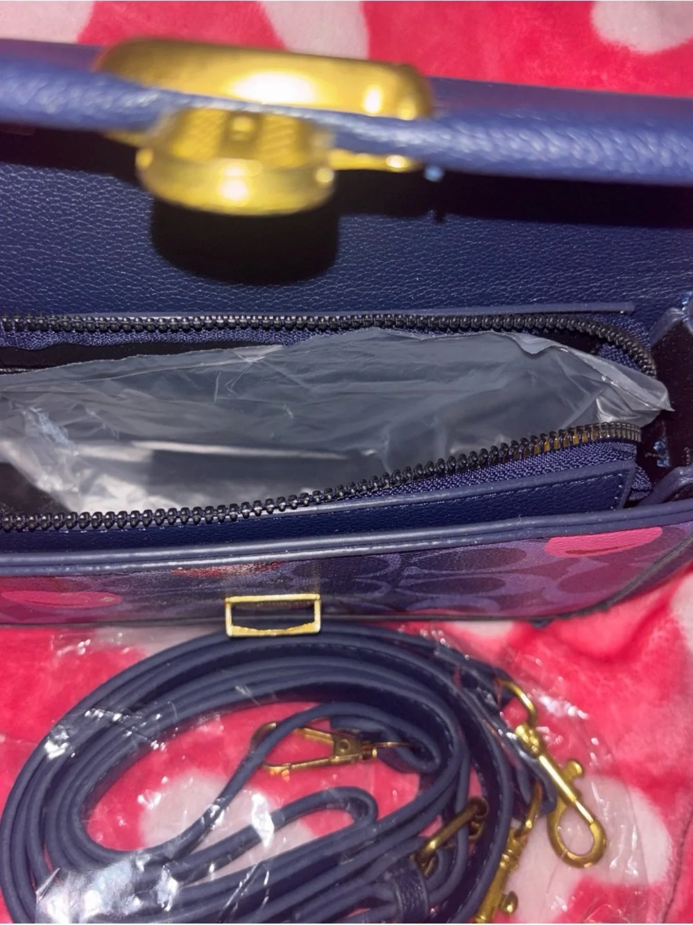 Coach purple signature